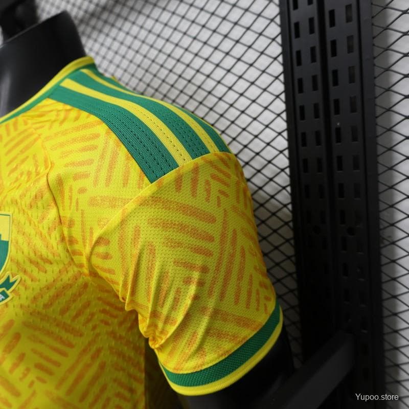 Player Version 26/27 South Africa Yellow & Green  Home Jersey (Adidas) — imagen 9