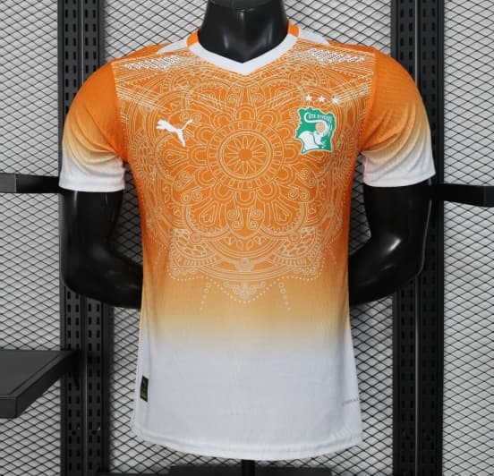 2026 Player Version Ivory Coast Special Edition Orange Jersey — jersey