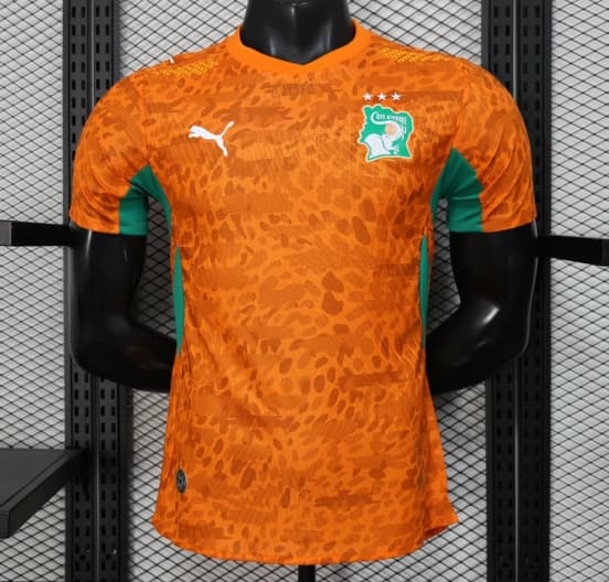 2026 Player Version Ivory Coast Home Jersey — jersey