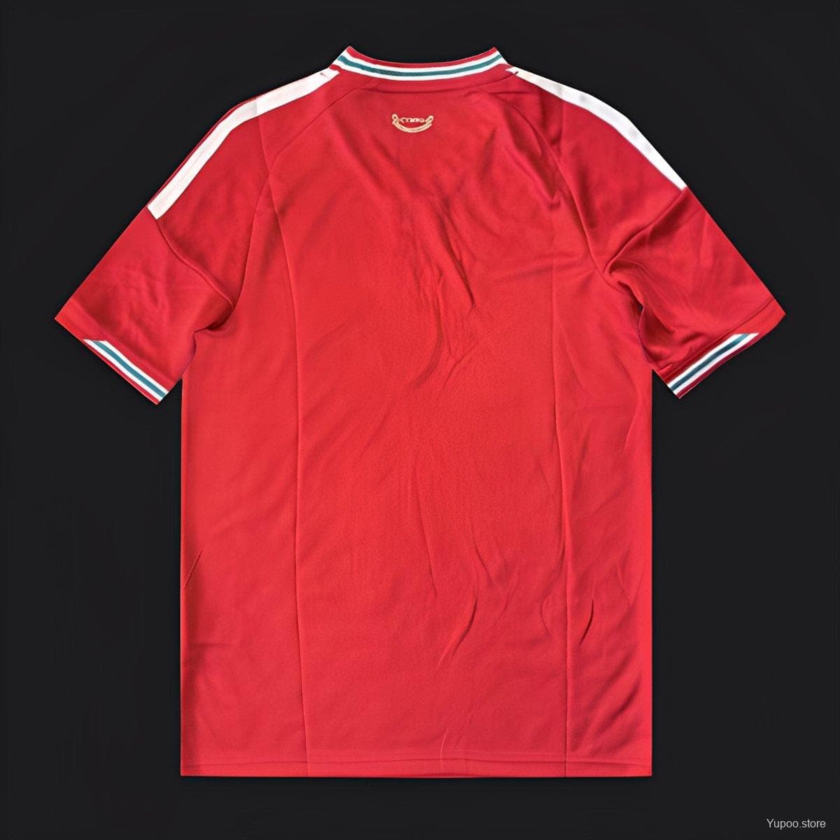 2026 Wales Home Jersey — imagen 2
