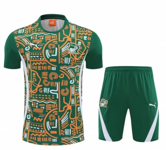25/26 Côte d'Ivoire Green Tribal Print Short Sleeve Training Suit + Shorts — jersey
