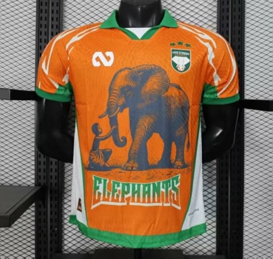 Player Version 2025 Ivory Coast Orange with Elephant Graphic and Green Accents Jersey — jersey