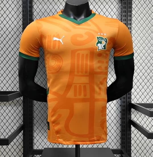 24/25 Player Version Ivory Coast Home Jersey — jersey