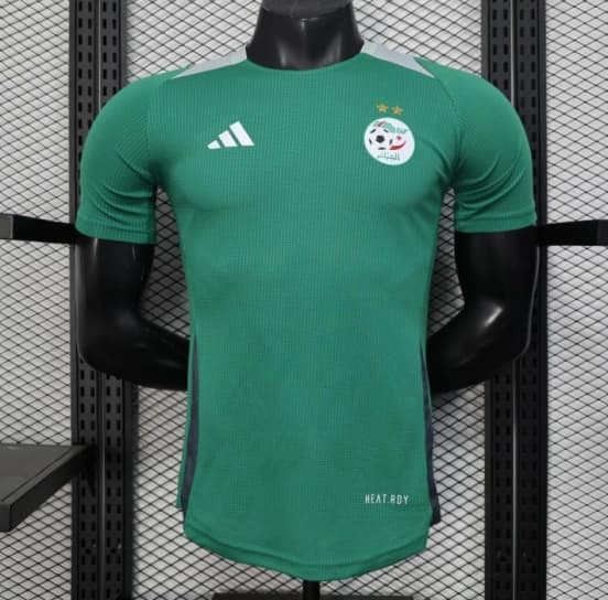Player Version 2025 Algeria Green with Solid Color Jersey — Selección de fútbol de Argelia