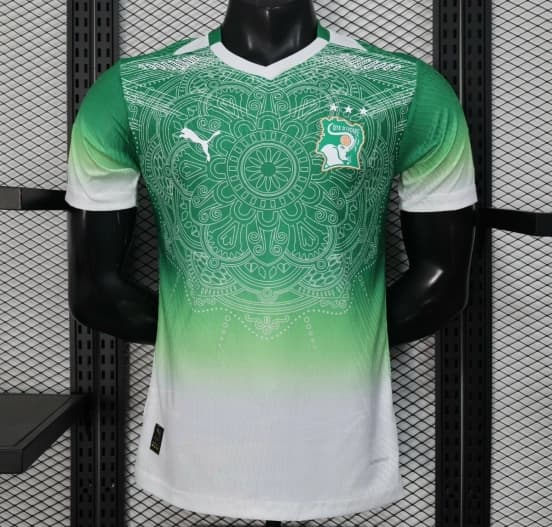 2026 Player Version Ivory Coast Special Edition Green Jersey — jersey